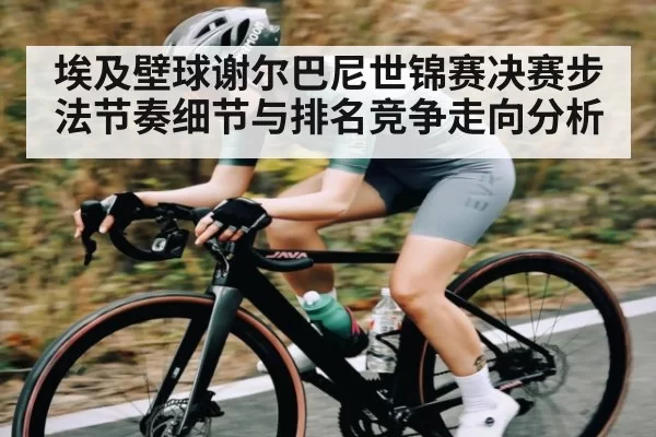 埃及壁球谢尔巴尼世锦赛决赛步法节奏细节与排名竞争走向分析